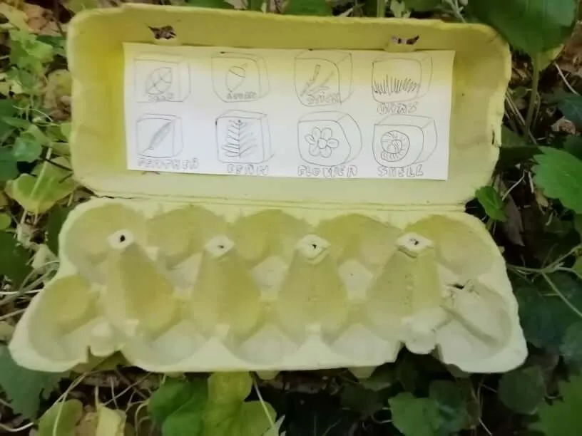 An activity to identify objects found in nature. 