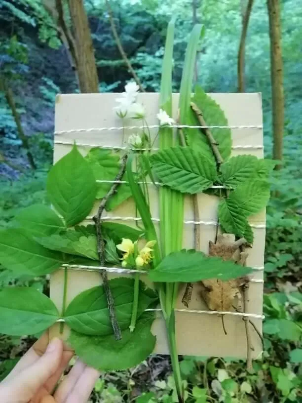 An activity where the kids collect leaves they find.
