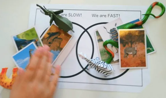 A fun activity using dinosaur toys. 